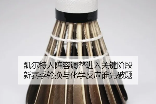 凯尔特人阵容调整进入关键阶段 新赛季轮换与化学反应谁先破题（bet365）